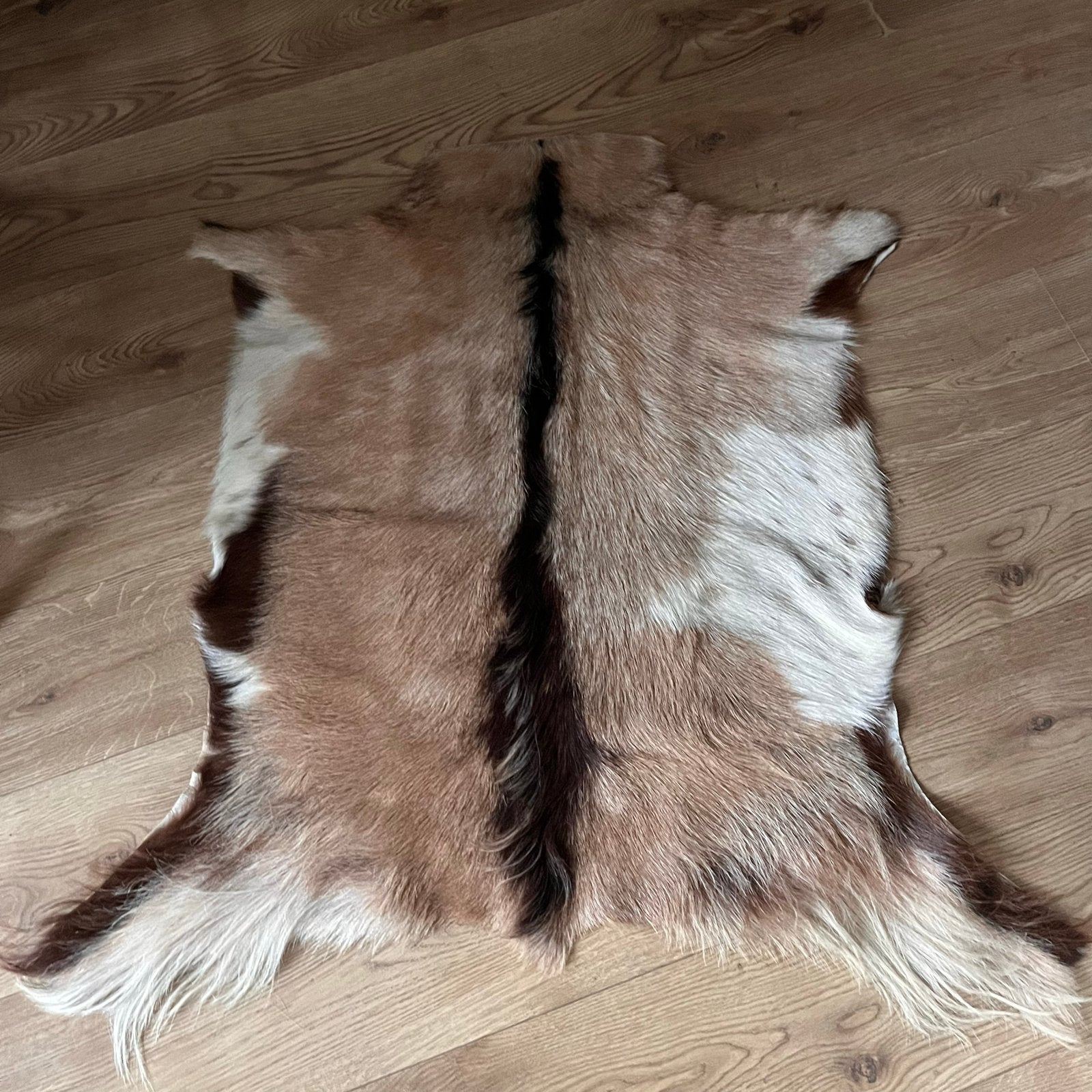 Echt Geiten kleed, 50 tot 100 cm, Beige, Zo goed als nieuw, Rechthoekig