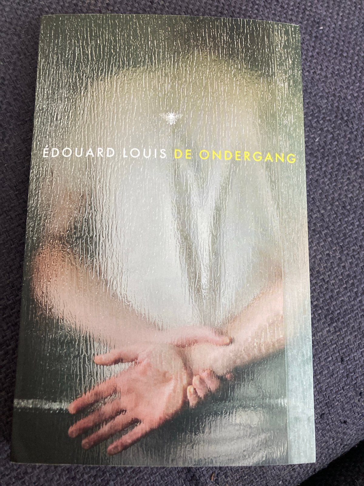 De Ondergang - Édouard Louis, Ophalen of Verzenden, Zo goed als nieuw