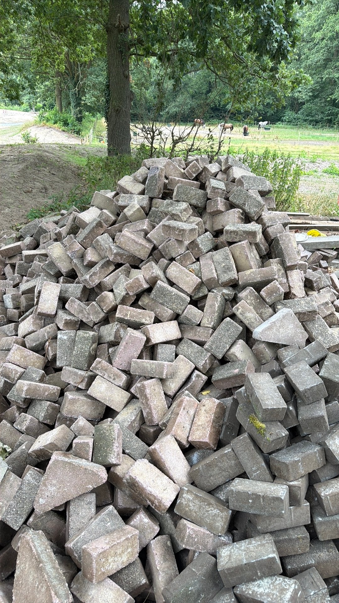 Betonklinkers heidepaars, c.a. 30m2, Ophalen, Beton, Klinkers