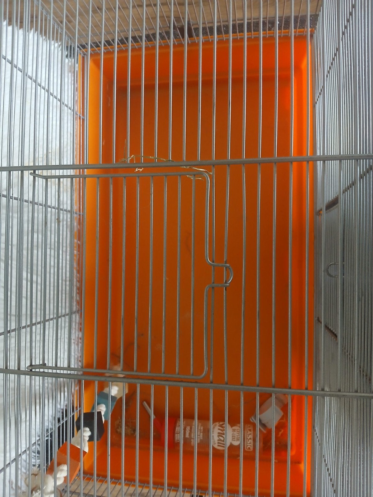 hamsterkooi, Dieren en Toebehoren, Ophalen, Nieuw