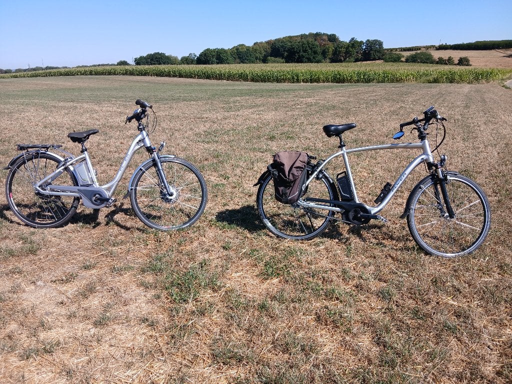 Te koop 2x flyer elektrische fiets herenfiets en damesfiets, Ophalen, Gebruikt, Overige merken
