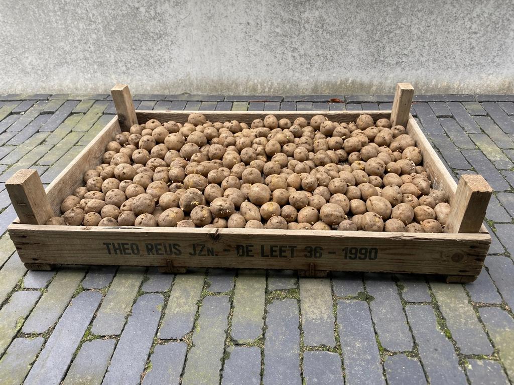 Handige opberg bakken, Ophalen, Hout, Overige typen