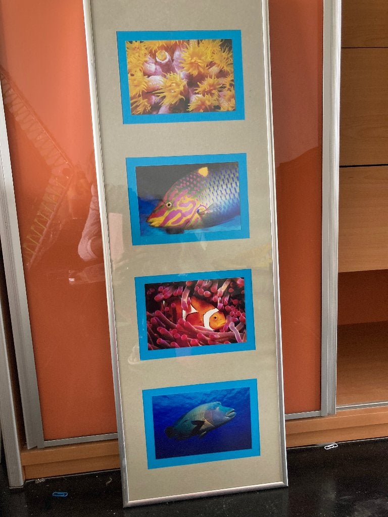 Vissen lijst schilderij, Ophalen