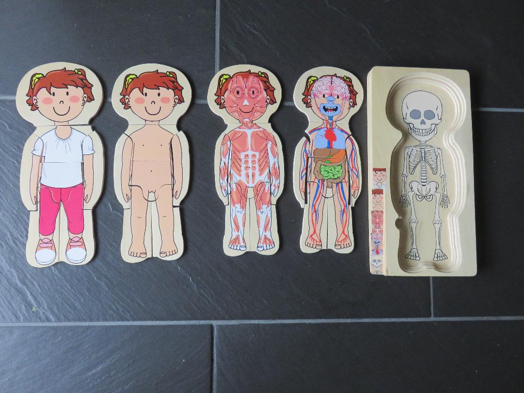 Houten lagen puzzel anatomie meisje, 28stukjes, 10 tot 50 stukjes, Ophalen of Verzenden, Zo goed als nieuw, Van hout