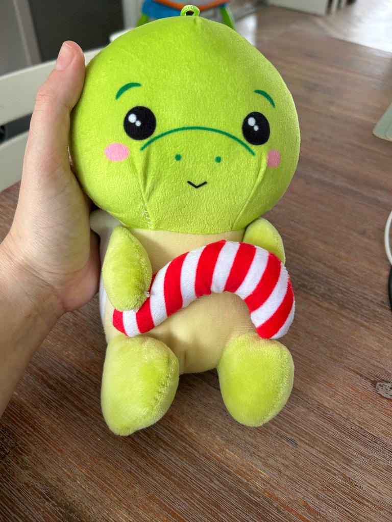 Knuffel schildpad, Kinderen en Baby's, Speelgoed | Knuffels en Pluche, Overige karakters, Overige typen, Ophalen of Verzenden