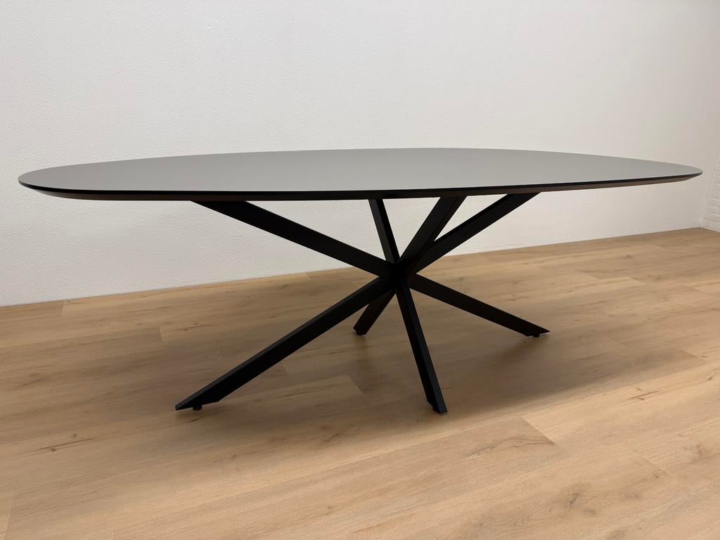 Organische eettafel HPL 220x100 - Direct Leverbaar, 100 tot 150 cm, 200 cm of meer, Ophalen of Verzenden, Zo goed als nieuw