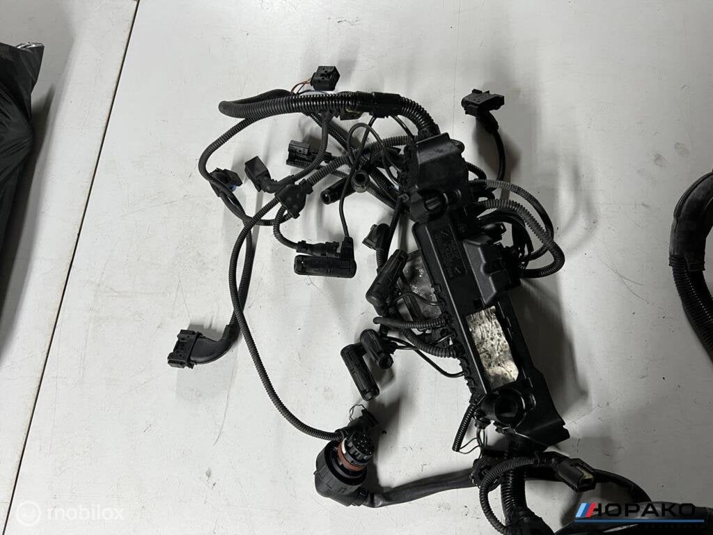 Kabelboom motor BMW E6x 535D M57D5, Gebruikt, Einsteinlaan 5 rijswijk, Bmw, Ophalen of Verzenden