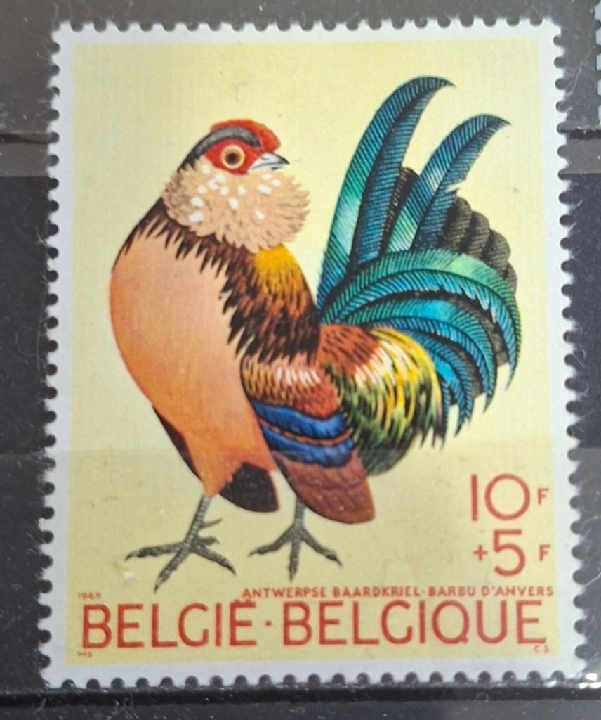 Belgie Dieren Postzegel Postfris (B2-P4), Ophalen of Verzenden, Postfris