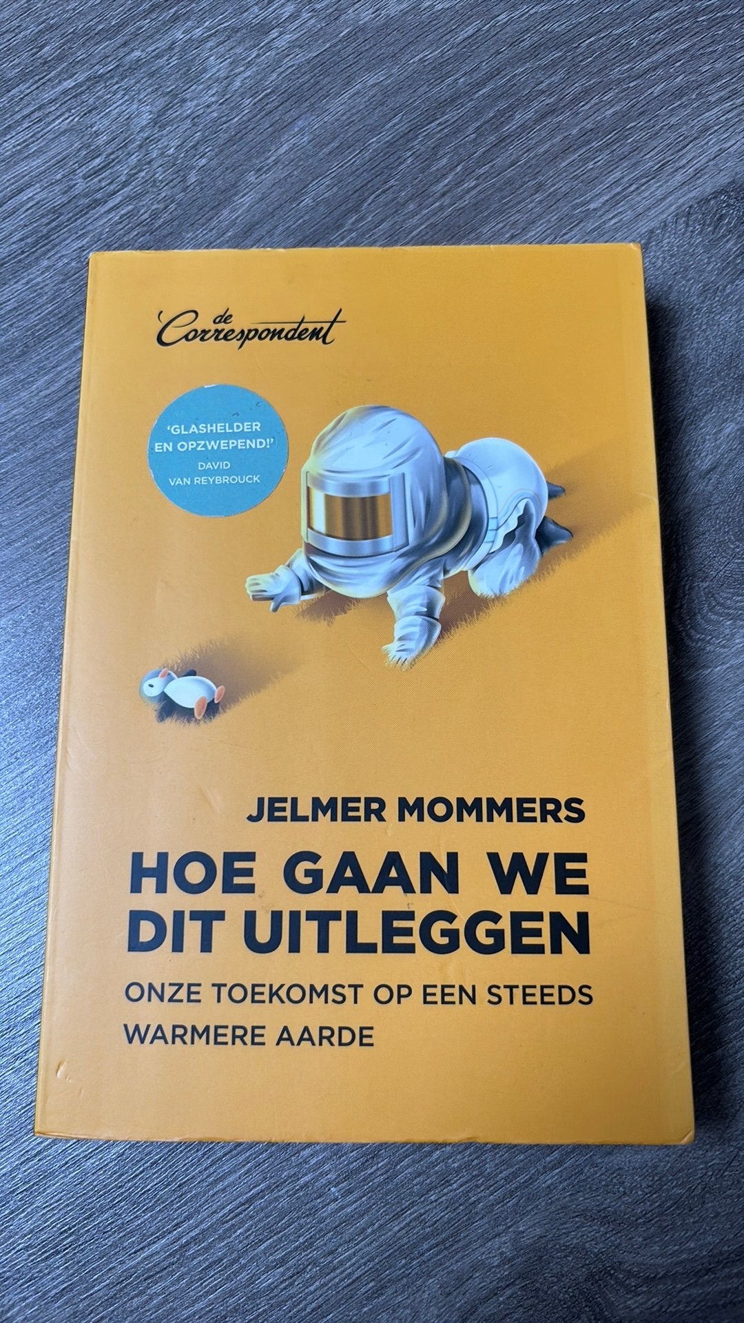 Jelmer Mommers - Hoe gaan we dit uitleggen, Ophalen of Verzenden, Zo goed als nieuw, Jelmer Mommers