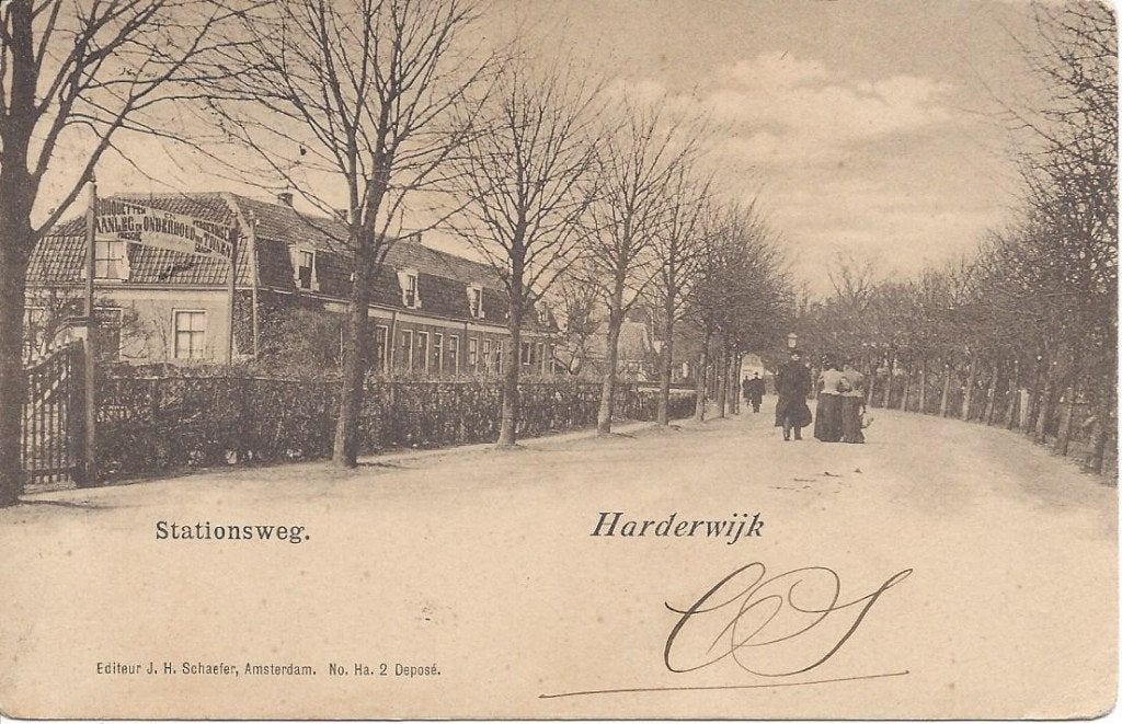 Harderwijk (Gld.) Stationsweg, Volk, Tramstempel 1901, Ophalen of Verzenden, Voor 1920, Gelopen, Gelderland