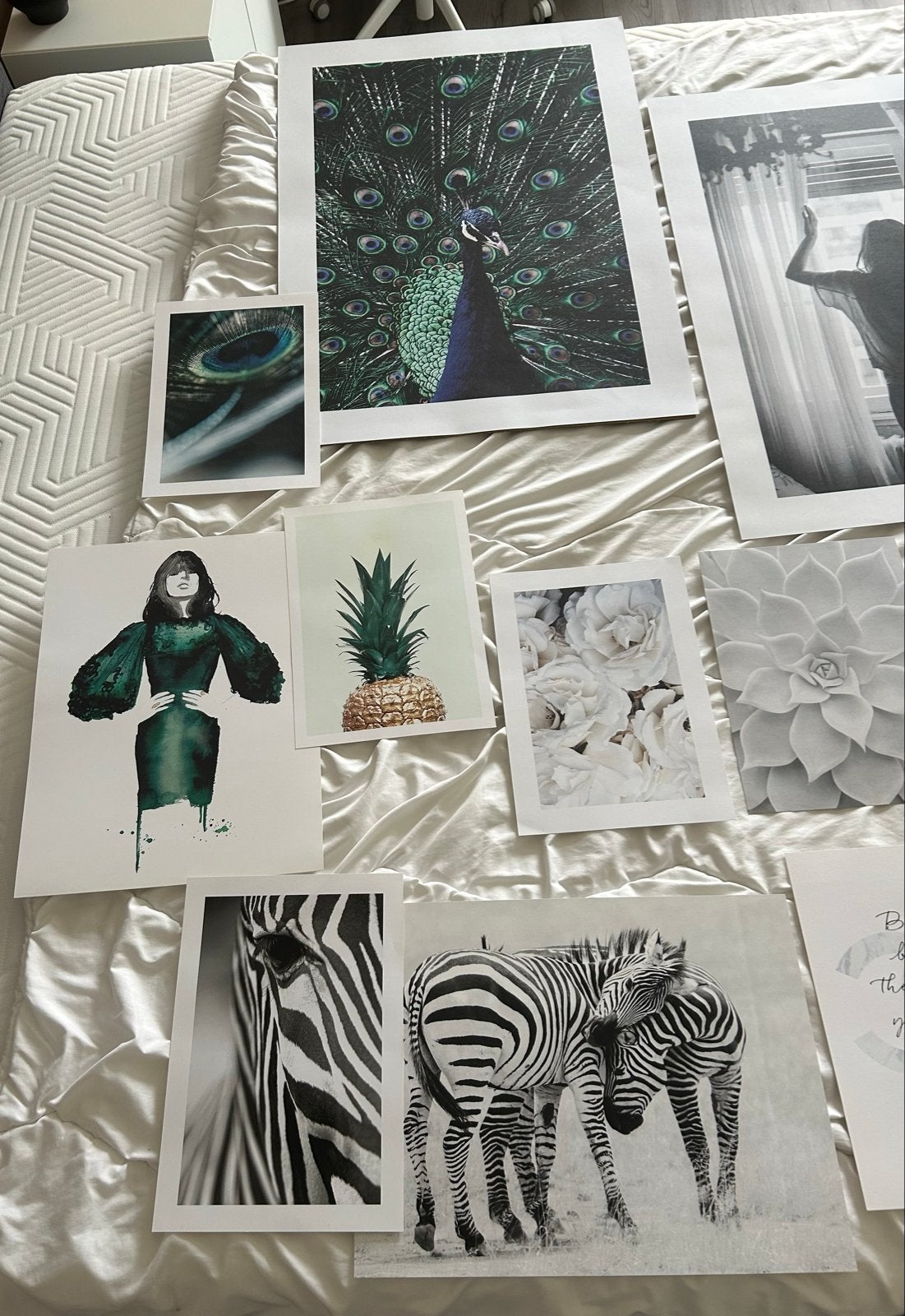 Diverse Posters: Pauw, Zebra, Chanel, etc., Rechthoekig Staand, Nieuw, Ophalen of Verzenden, A1 t/m A3