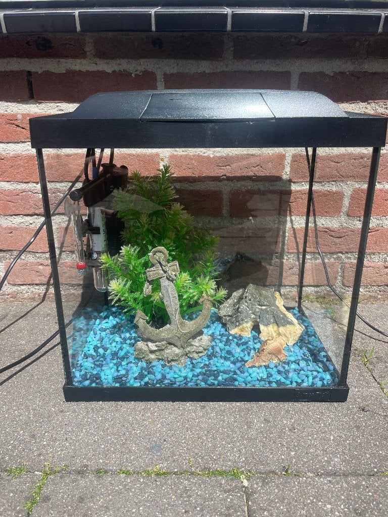 Aquarium, Dieren en Toebehoren, Vissen | Aquaria en Toebehoren, Gebruikt, Ophalen of Verzenden, Leeg aquarium, Superfish
