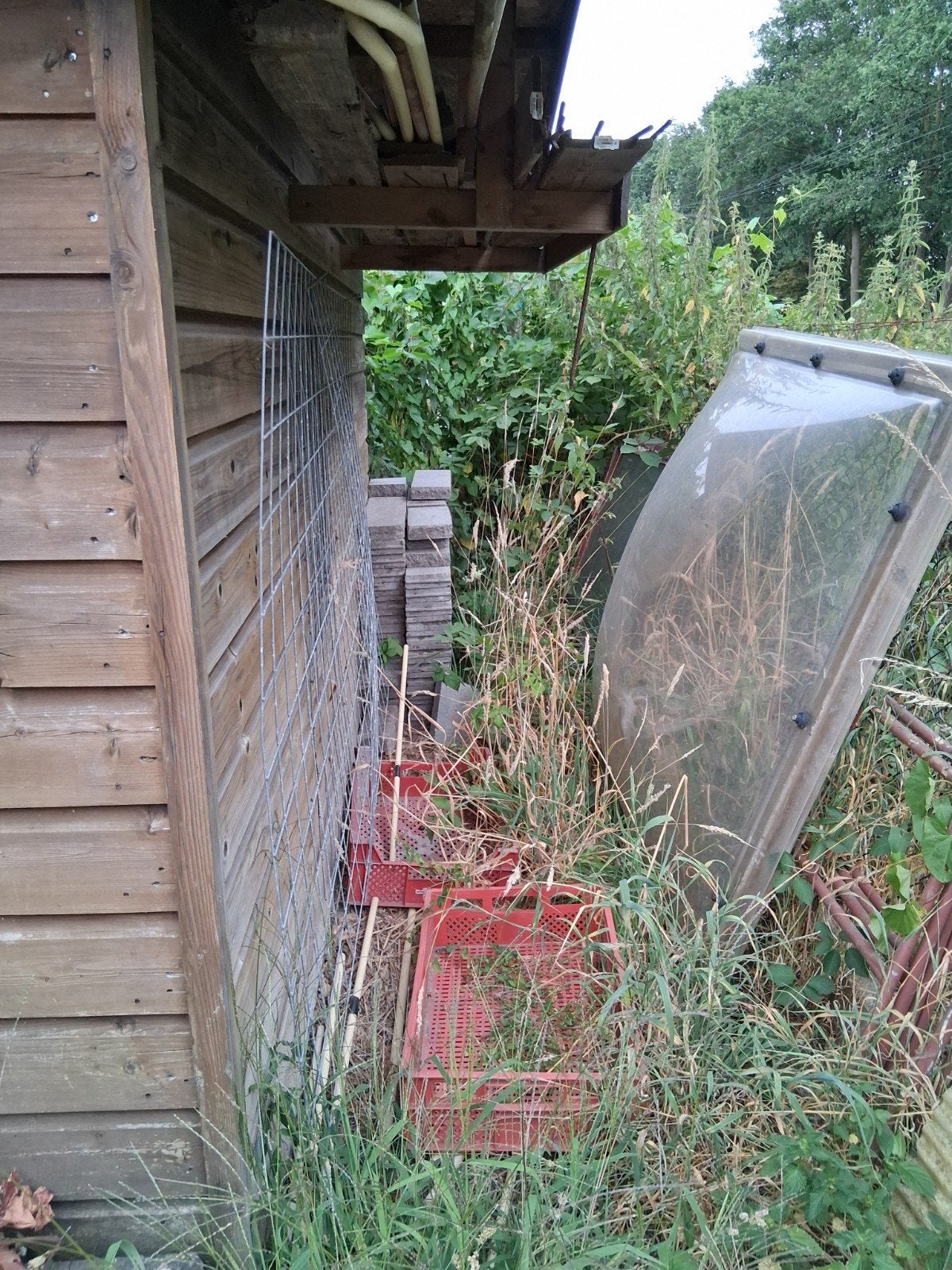 koepel/Koude kas voor moestuin - ideaal voor vroege teelt, Kweekkas, Ophalen of Verzenden, Aluminium, Polycarbonaat