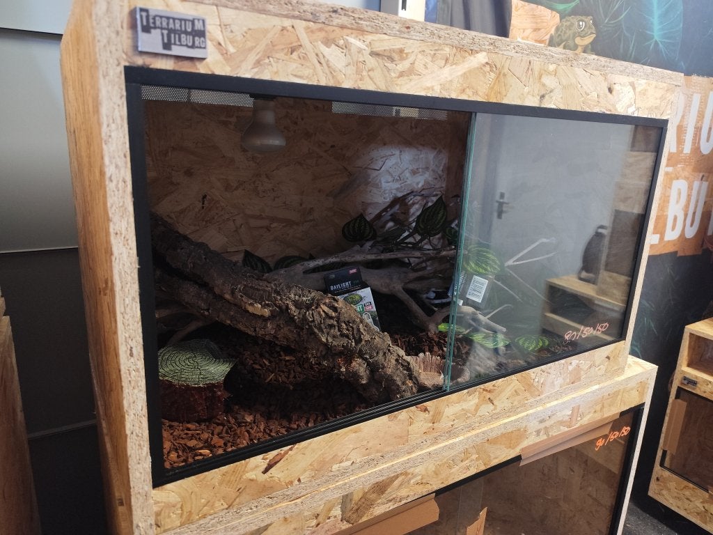 Osb3 terrarium 80/50/50 ingericht (3), Ophalen, Nieuw, Terrarium of Paludarium