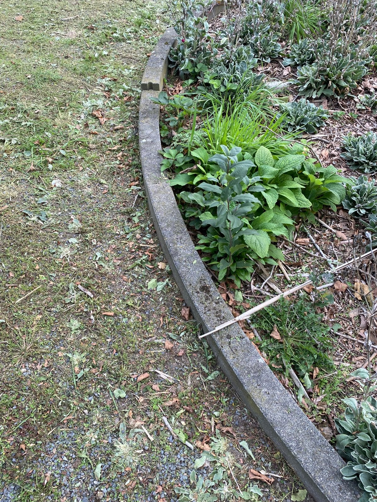 Gebruikte betonnen border elementen voor tuin of perk, Tuin en Terras, Gebruikt, 100 tot 200 cm, Ophalen of Verzenden, Border