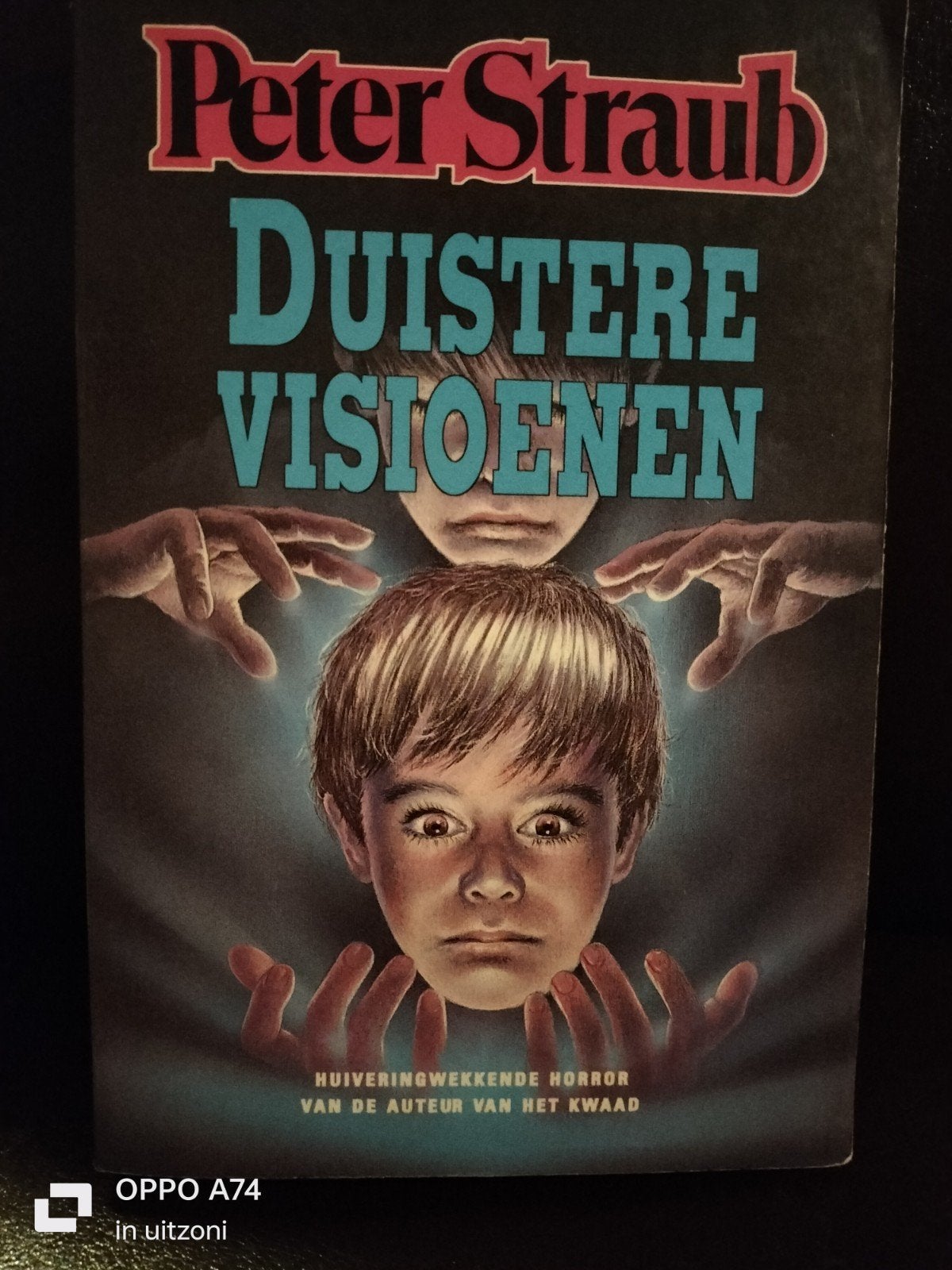 Peter Straub - Duistere Visioenen (Horror), Ophalen of Verzenden, Gelezen, Peter Straub, Amerika
