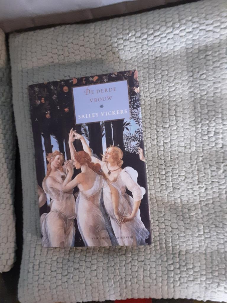 Salley Vickers---De derde vrouw, Europa overig, Salley Vickers, Ophalen of Verzenden, Zo goed als nieuw