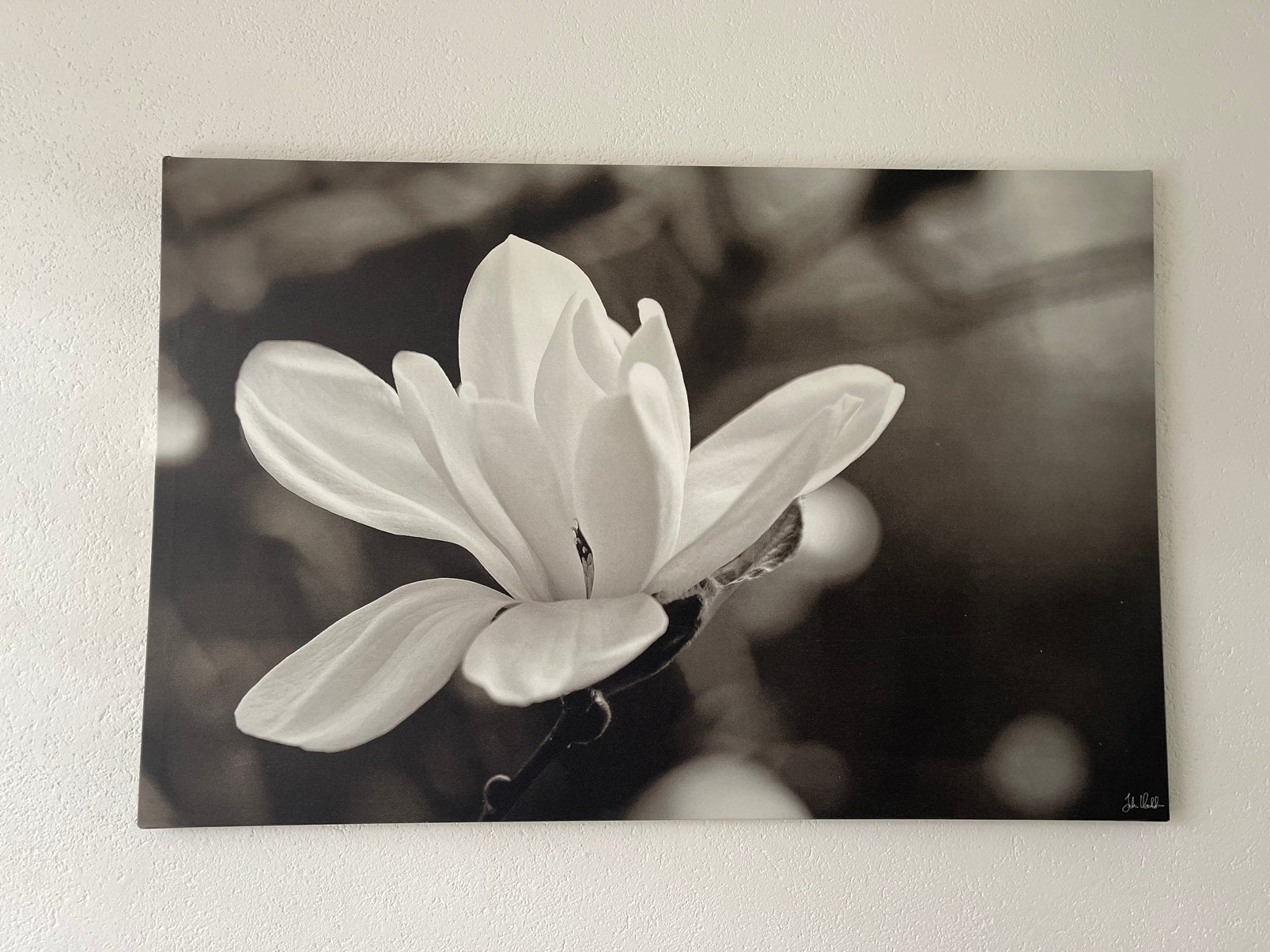 Schilderij Ikea, Ophalen