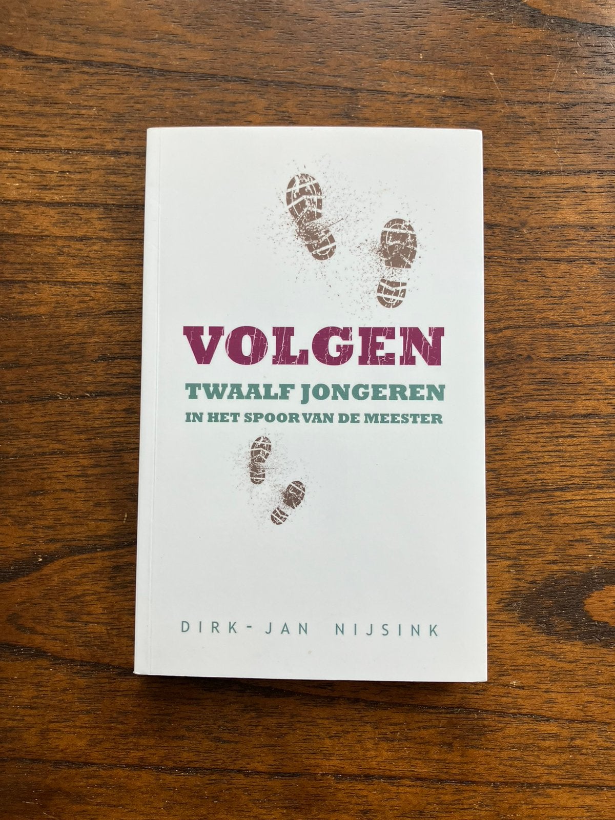 Dirk-Jan Nijsink - Volgen, Ophalen of Verzenden, Zo goed als nieuw, Christendom | Katholiek