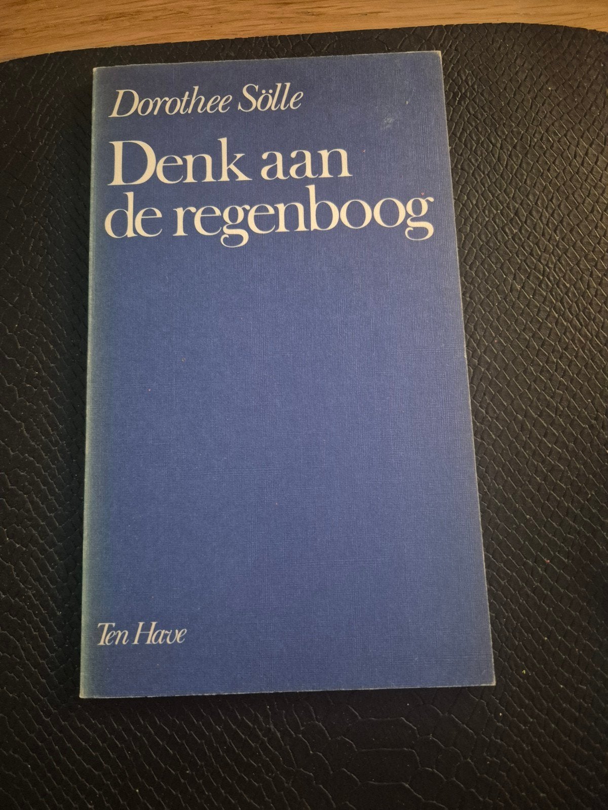 denk aan de regenboog, Ophalen of Verzenden, Gelezen, Dorothee solle