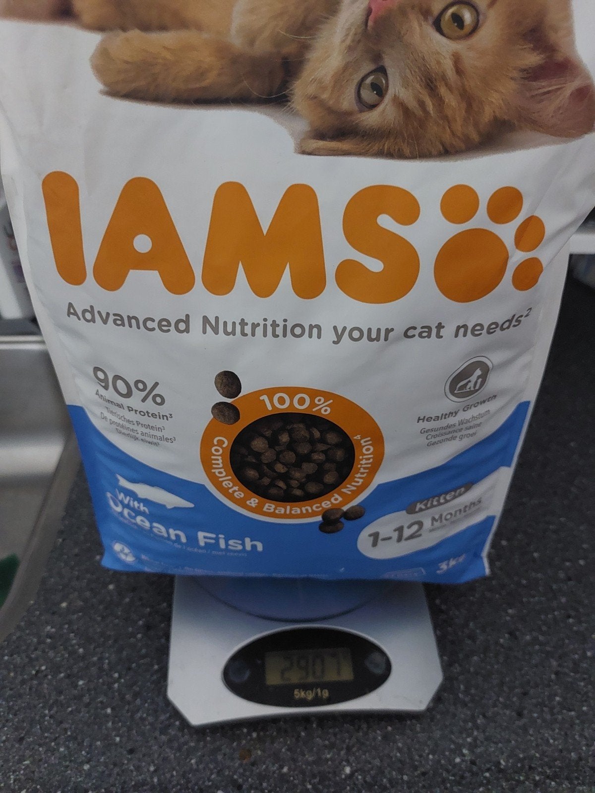 Nieuw! Iams kitten brokken vis smaak nog 2.9kg over, Ophalen, Kat