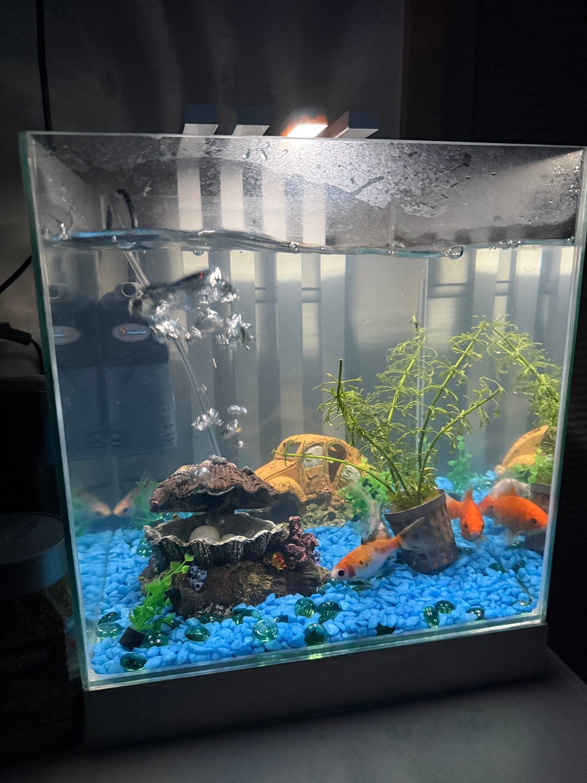 fish tank, read the description, Ophalen, Zo goed als nieuw, Leeg aquarium