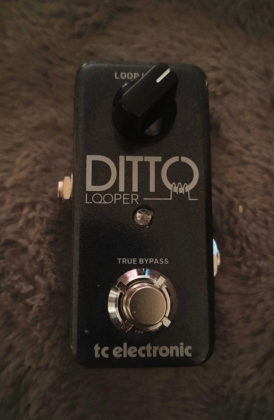 TC Electronic Ditto Looper - Compact en Gebruiksvriendelijk, Muziek en Instrumenten, Ophalen of Verzenden, Zo goed als nieuw, Overige typen