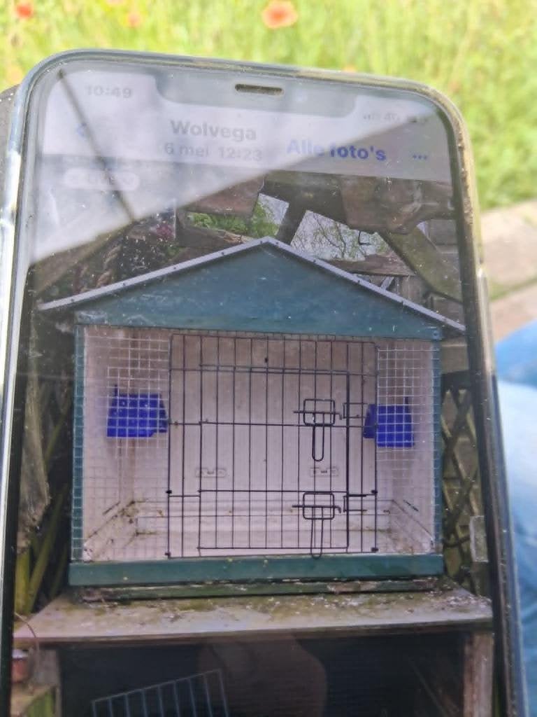 vogelhokje, Ophalen, Hout, Vogelkooi