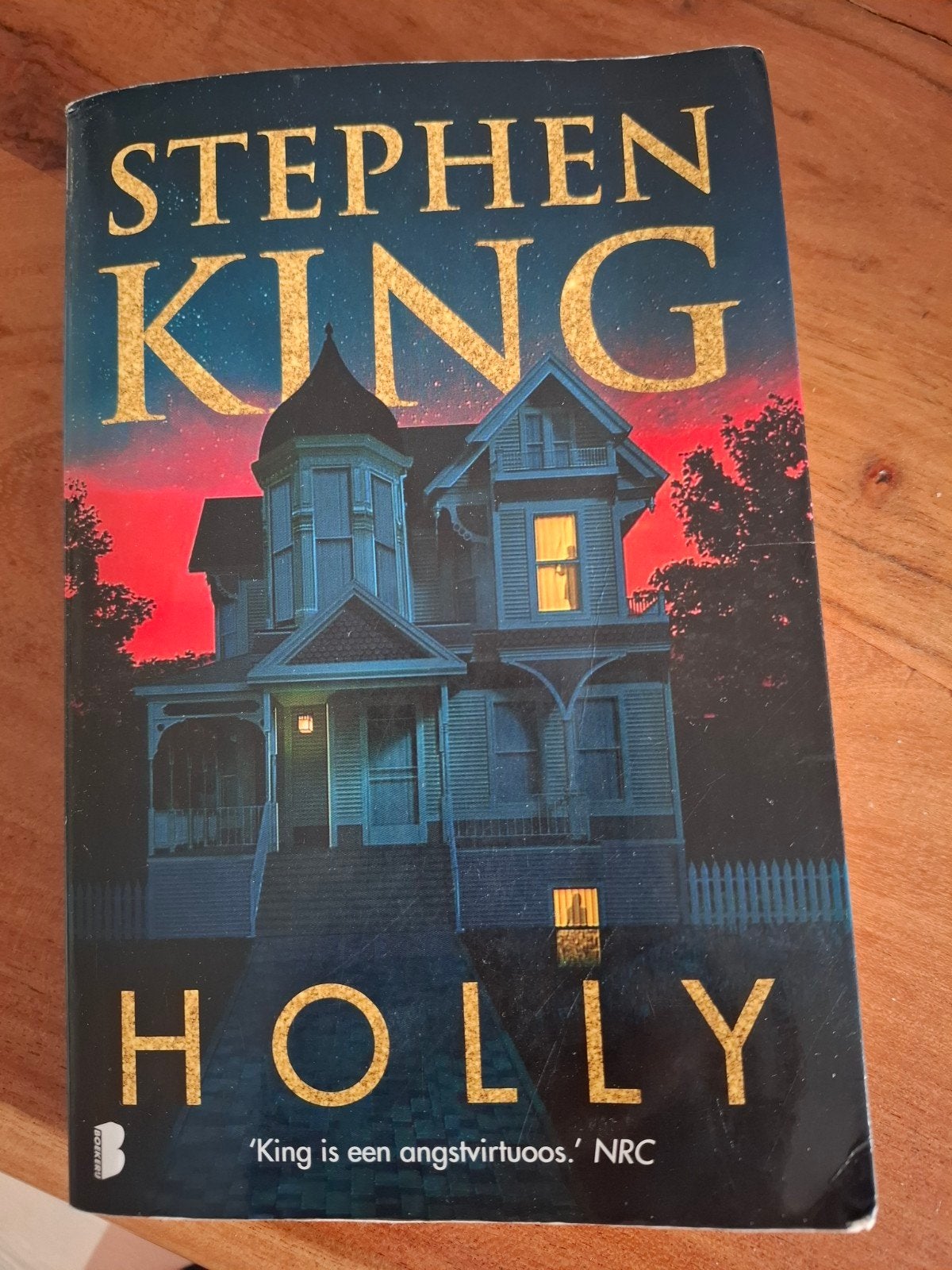 Stephen King - Holly, Ophalen of Verzenden, Gelezen, Stephen King, Nederland