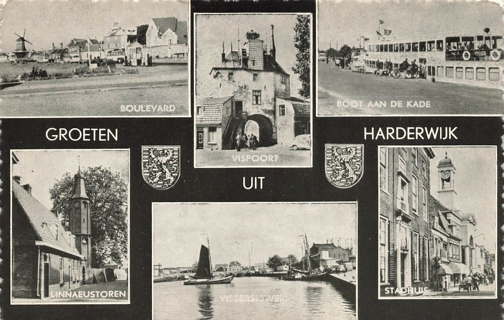 Groeten uit Harderwijk, Ophalen of Verzenden, 1960 tot 1980, Ongelopen, Gelderland