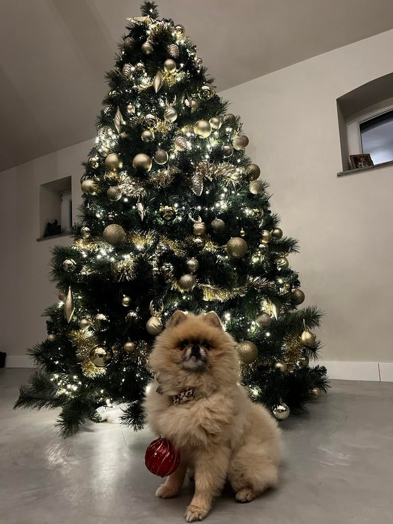 Kerstboom Atlanta met ballen slingers, Diversen, Kerst, Zo goed als nieuw, Ophalen
