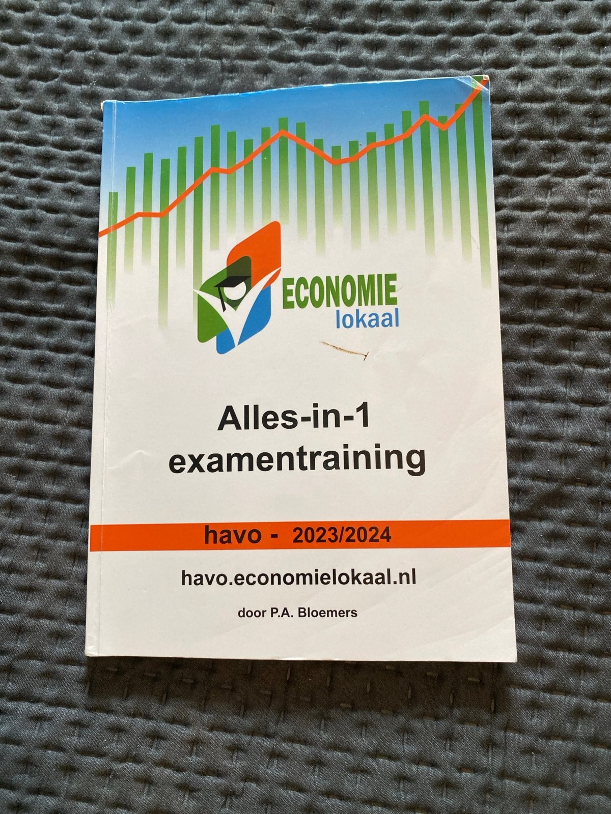 Economie Lokaal Alles-in-1 examentraining havo 2023/2024, Ophalen, Zo goed als nieuw, Economie en Marketing