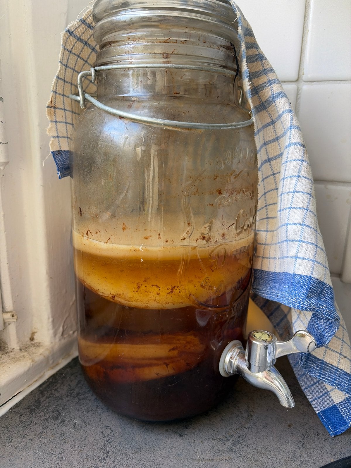 Kombucha Starters, Ophalen, Overige merken, Glas, Overige typen