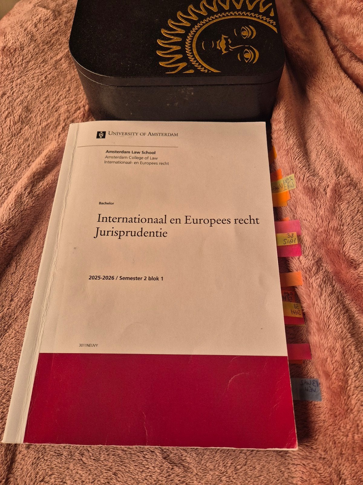 Internationaal en Europees recht Jurisprudentie UvA, Universiteit van Amsterdam, Ophalen of Verzenden, Gamma, WO