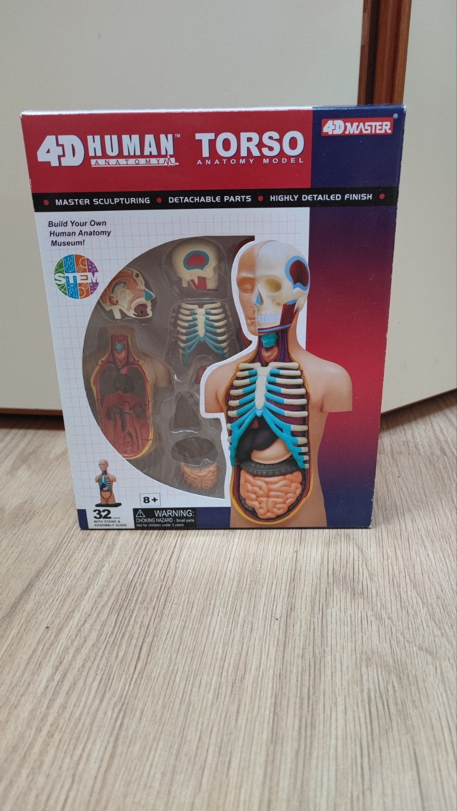 4D Human Torso Anatomie Model - 32 onderdelen, Ophalen of Verzenden, Nieuw, Bouwen