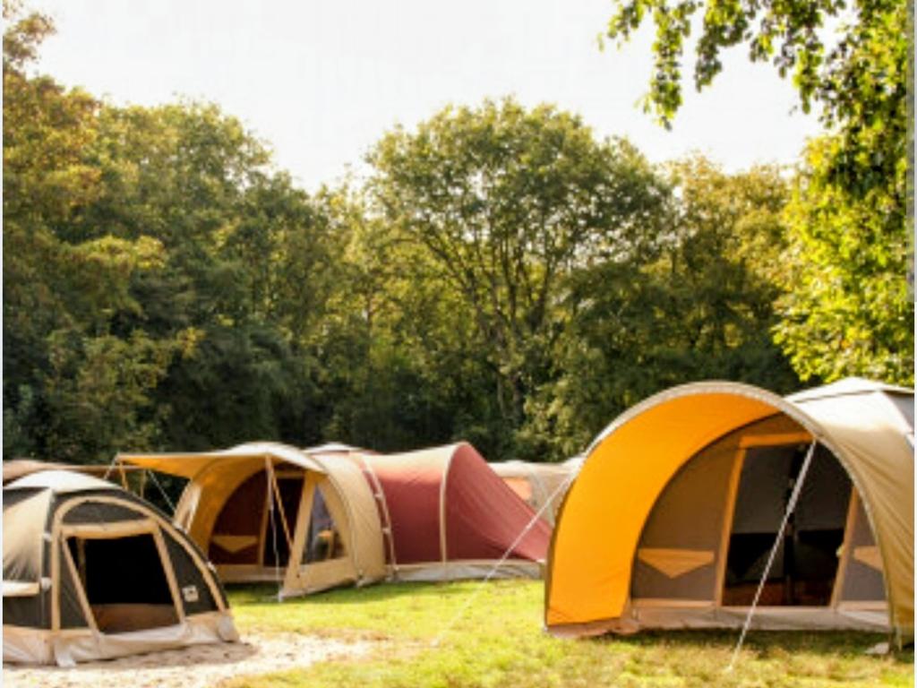 Zoekt u een  jonge karsten tent zo goed als nieuw?, Ophalen of Verzenden