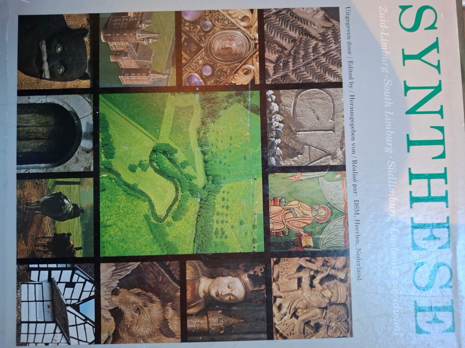 SYNTHESE: Zuid-Limburg - Geschiedenis en Cultuur, Boeken, Ophalen of Verzenden, Zo goed als nieuw, DSM, Heerlen, Nederland