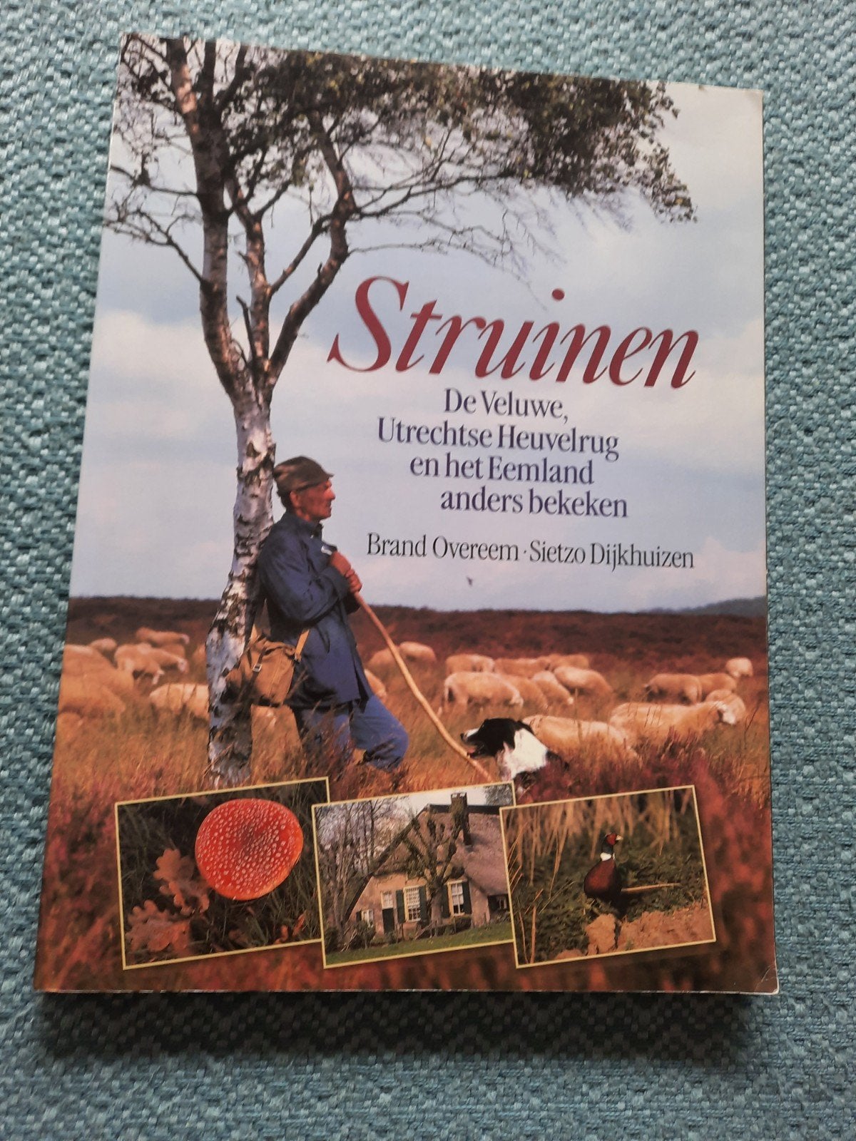 B. Overeem - Struinen, Ophalen of Verzenden, Zo goed als nieuw, B. Overeem