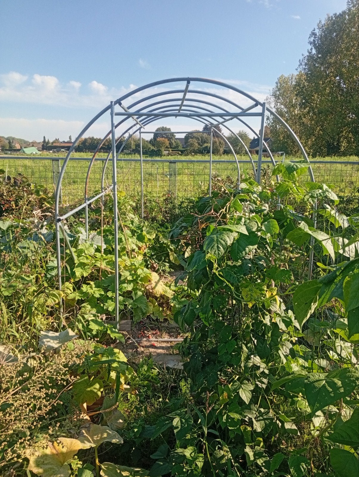 Foliekas 2 x 3 meter – gebruikt nog steeds te koop, Ophalen, Gebruikt, Metaal