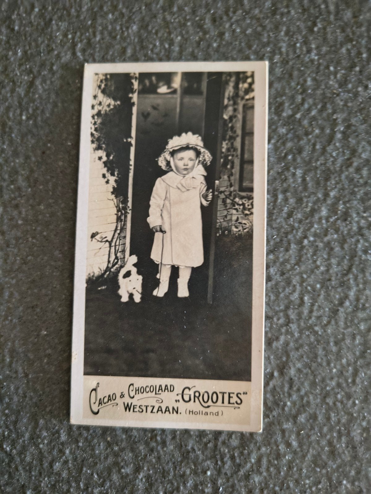 Oude foto Cacao & Chocolade Grootjes Westzaan (Holland), Ophalen of Verzenden, Gebruikt
