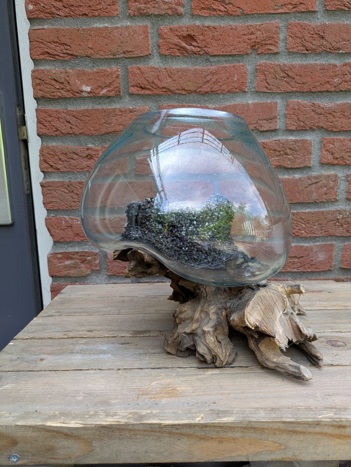 Kleine viskom op kienhout, Dieren en Toebehoren, Vissen | Aquaria en Toebehoren, Ophalen of Verzenden, Gebruikt, Vissenkom