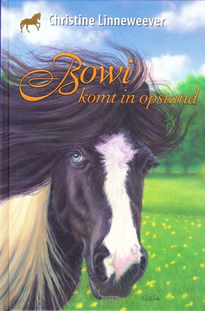 BOWI KOMT IN OPSTAND - Christine Linneweever, Verzenden, Gelezen, Fictie algemeen