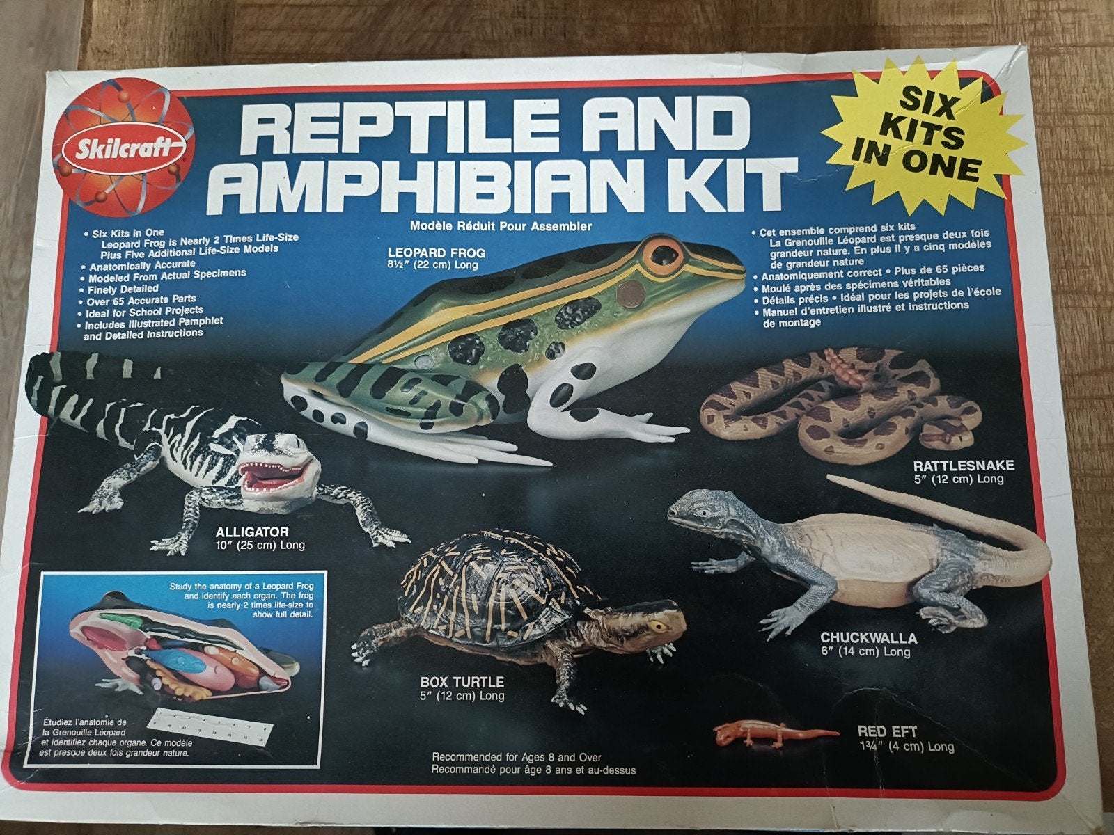 Skilcraft Reptiel & Amfibie Bouwpakket - 6 in 1, Ophalen of Verzenden, Nieuw, Groter dan 1:32