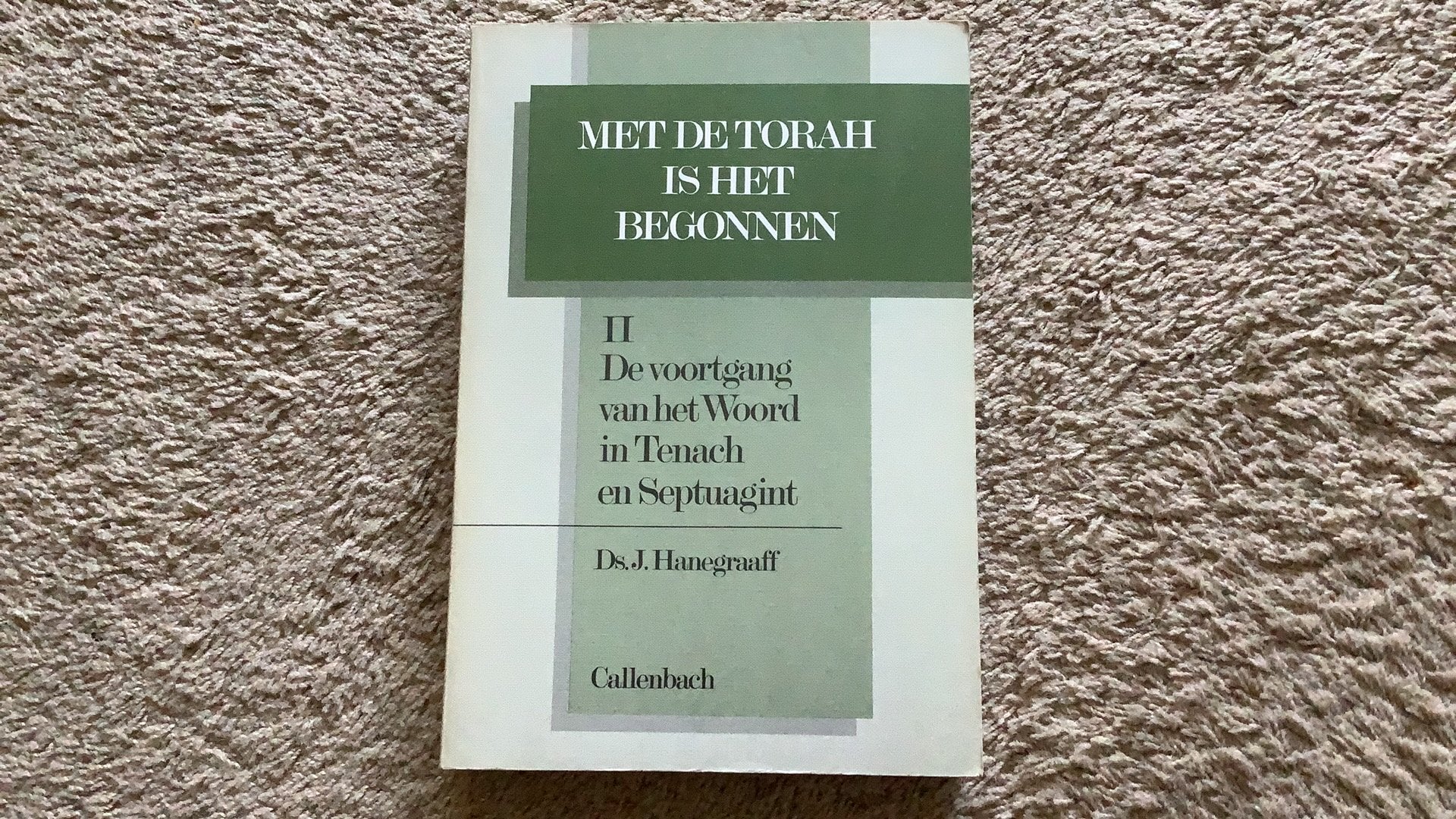 Met de Torah is het begonnen II, Ds. J. Hanegraaff, Ophalen of Verzenden, Zo goed als nieuw, Christendom | Katholiek