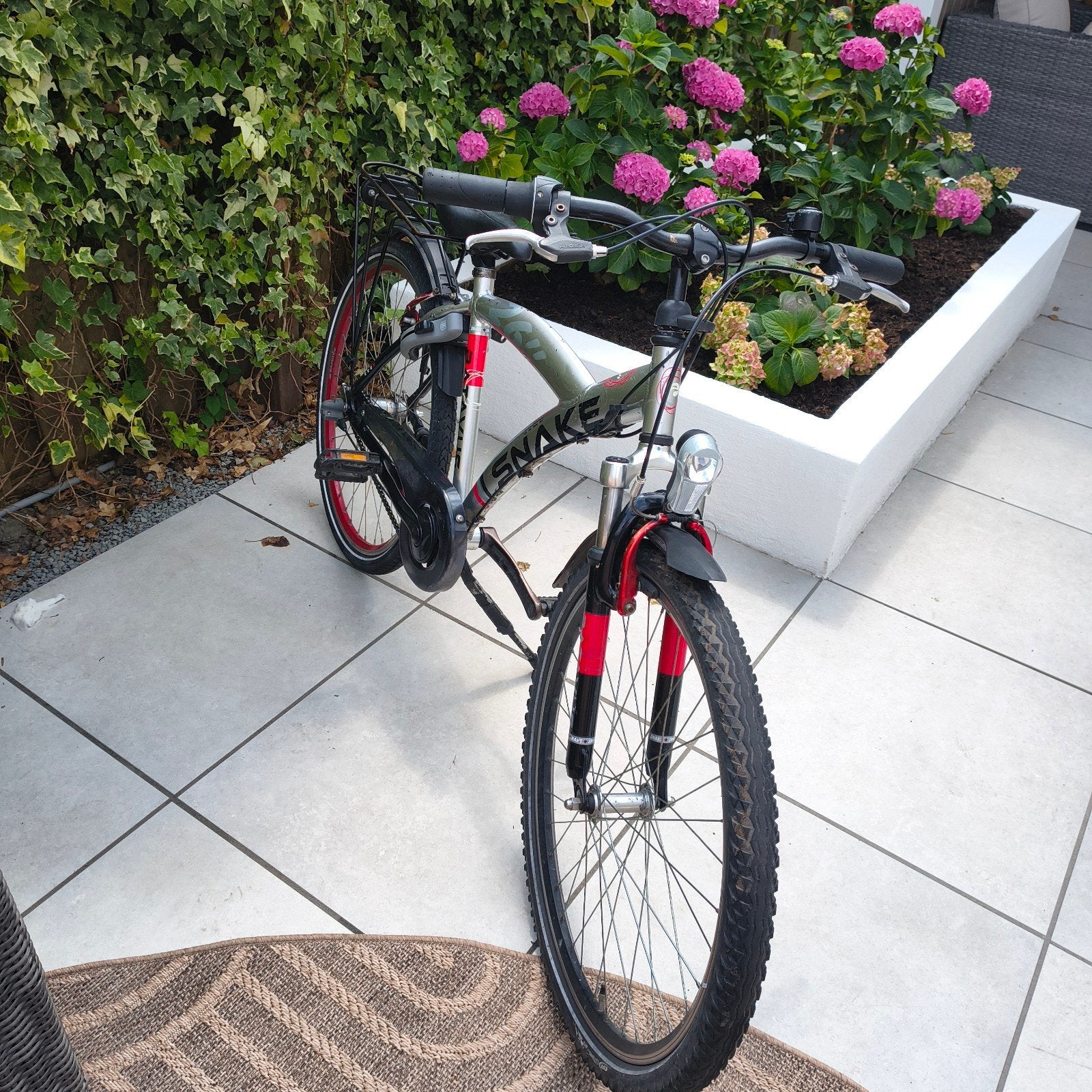 Leuke Batavus snake 26 inch kinderfiets, Ophalen, Gebruikt, 26 inch of meer, Versnellingen