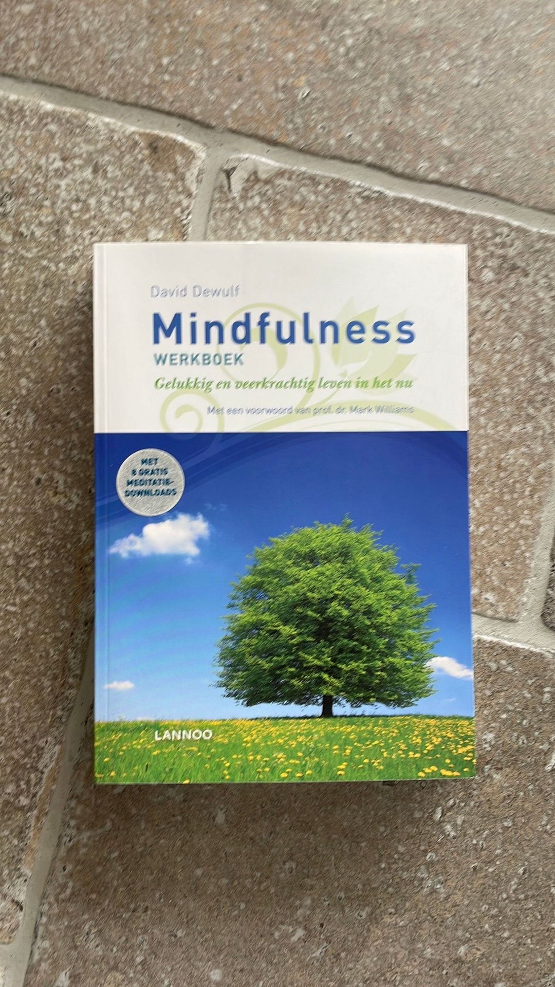 David Dewulf - Mindfulness werkboek NIEUW, Ophalen of Verzenden, Zo goed als nieuw, David Dewulf
