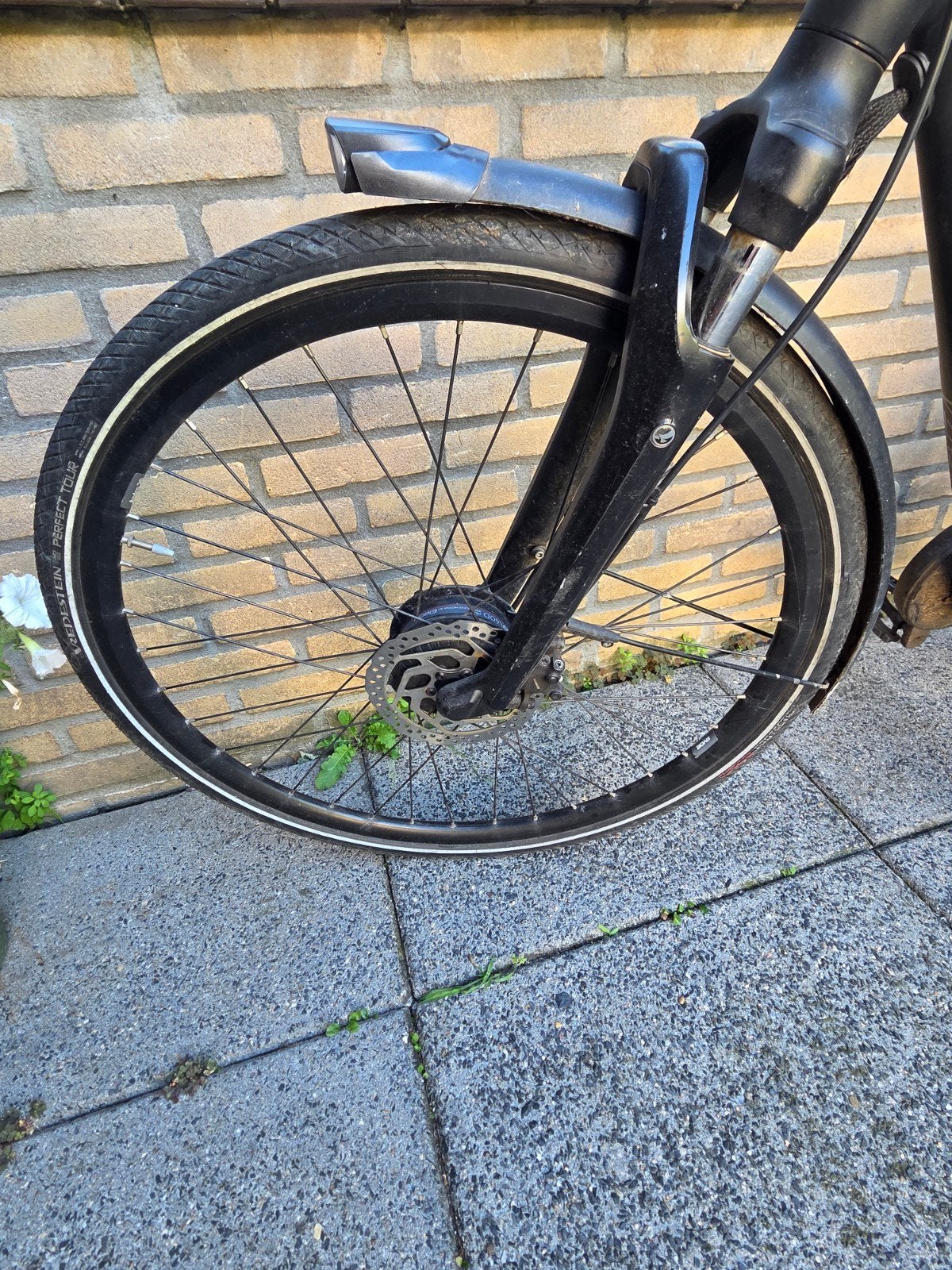 Stella Elon Voorwielmotor PRO 40D 250W met velg en band, Fietsen en Brommers, Fietsonderdelen, Elektrische fiets, Gebruikt, Overige materialen