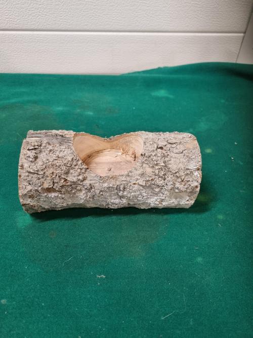 boomstammetje voor waxinehouder, Ophalen of Verzenden, 'T Olde Gre-j, Info@toldegrej.nl, Endepoelstraat 20f Didam