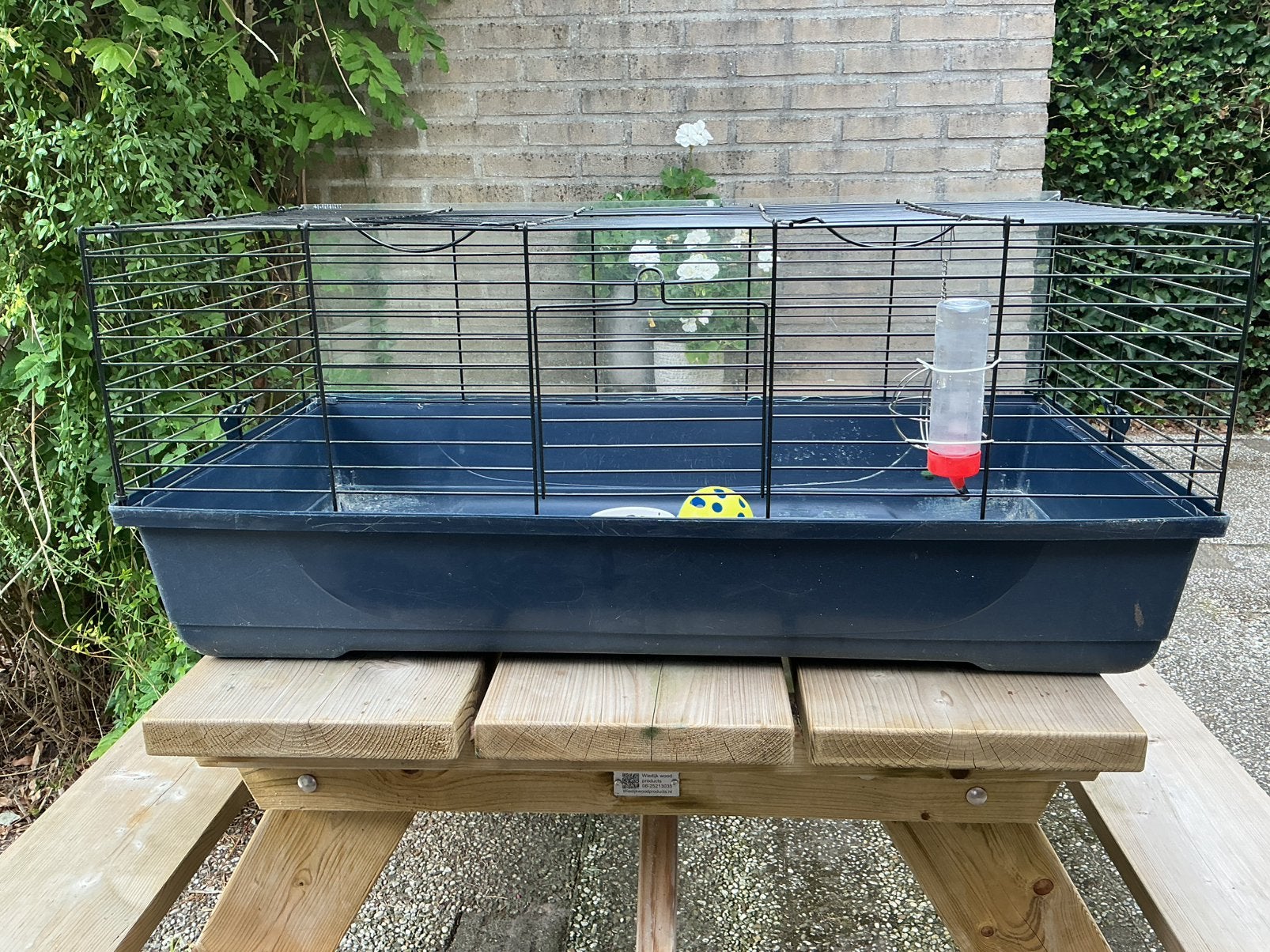 Caviakooi 50x100 cm met toebehoren, Kooi, Gebruikt, Konijn, 75 tot 110 cm