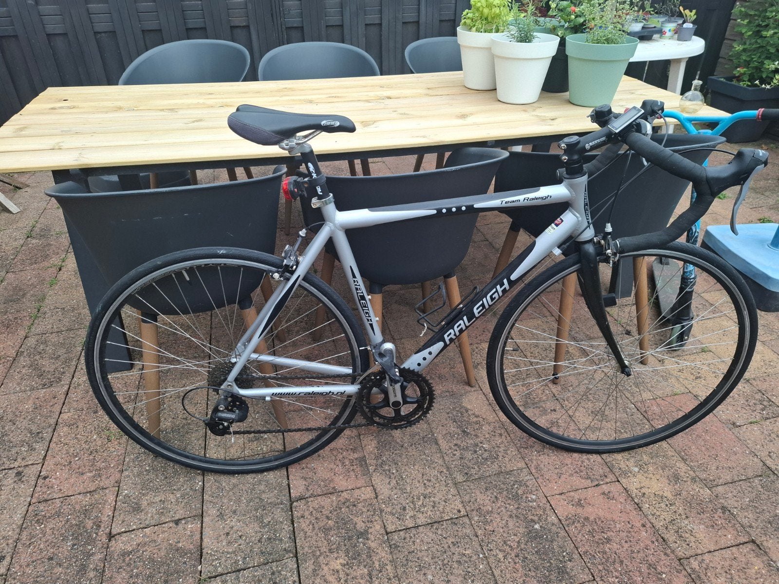 Raleigh racefiets - Team Raleigh, Fietsen en Brommers, Ophalen of Verzenden